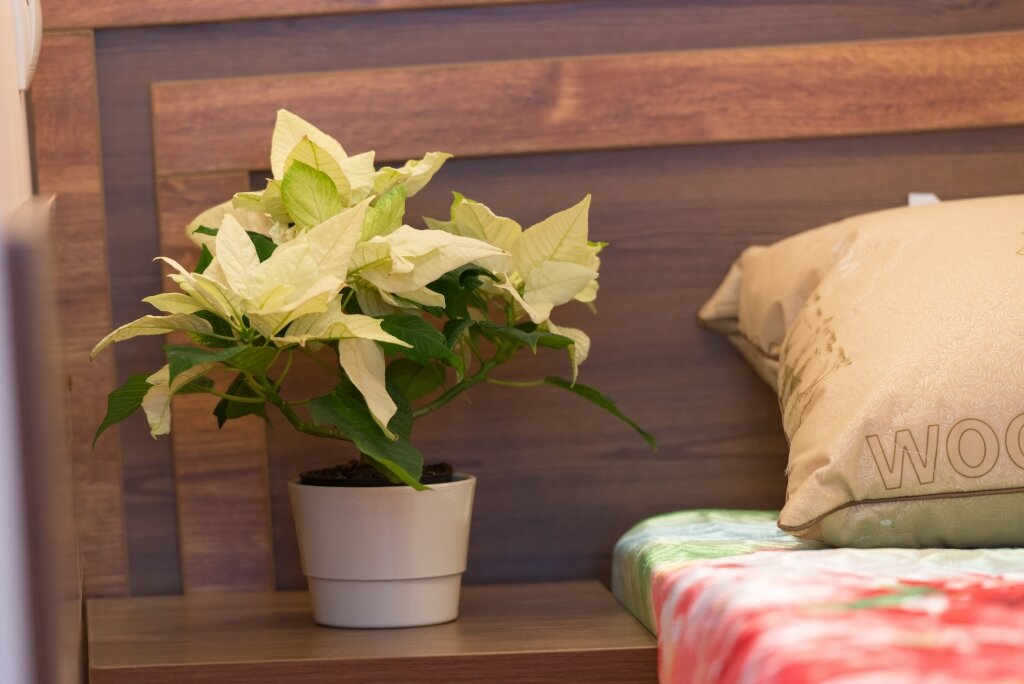 Гостиница Ксения Краснодар-9