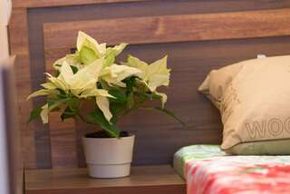 Гостиница Ксения Краснодар-5