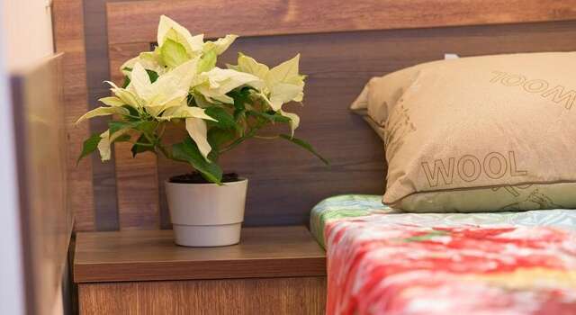 Гостиница Ксения Краснодар-47